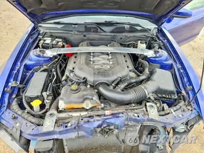 Zdjęcie 11 z 13 samochodu: 2014 FORD MUSTANG GT VIN:1ZVBP8FFXE5308802 - miniatura