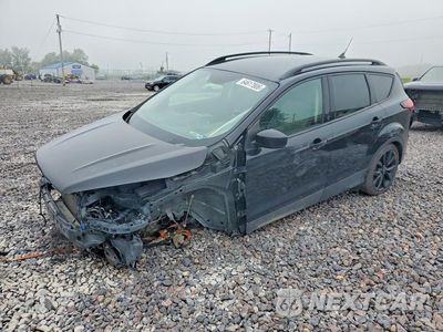 2019 FORD ESCAPE SE 1FMCU0GD2KUC00816 - główne zdjęcie licytacji z USA - miniatura