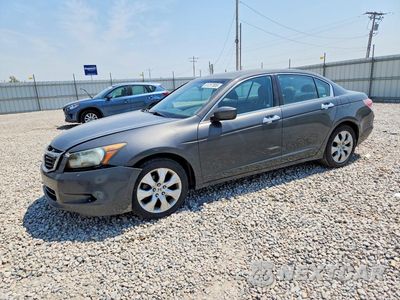 2008 HONDA ACCORD EX 1HGCP36728A029280 - główne zdjęcie licytacji z USA - miniatura