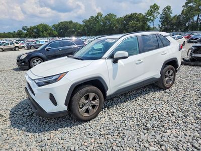2023 TOYOTA RAV4 XLE 2T3W1RFV7PC247781 - główne zdjęcie licytacji z USA - miniatura