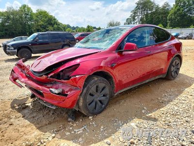 2025 TESLA MODEL Y 7SAYGDEDXSF318720 - główne zdjęcie licytacji z USA - miniatura