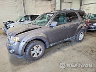 2012 FORD ESCAPE XLT 1FMCU0D76CKB81800 - główne zdjęcie licytacji z USA - miniatura