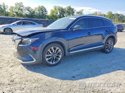 2017 MAZDA CX-9 GRAND TOURING JM3TCBDYXH0127941 - główne zdjęcie licytacji z USA - miniatura