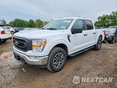 2021 FORD F150 SUPERCREW 1FTFW1E59MKD11097 - główne zdjęcie licytacji z USA - miniatura