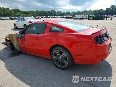 Drugie zdjęcie samochodu z przodu: 2013 FORD MUSTANG VIN:1ZVBP8AM4D5267121 - miniatura