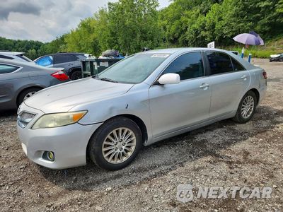 2010 TOYOTA CAMRY LE 4T1BF3EK8AU011837 - główne zdjęcie licytacji z USA - miniatura