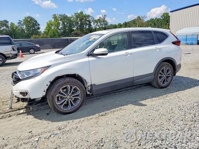 2020 HONDA CR-V EXL 7FARW1H88LE028919 - główne zdjęcie licytacji z USA - miniatura