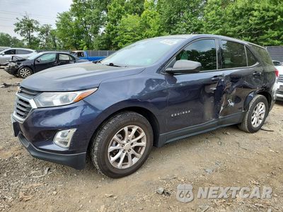 2019 CHEVROLET EQUINOX LS 3GNAXHEV7KS529953 - główne zdjęcie licytacji z USA - miniatura