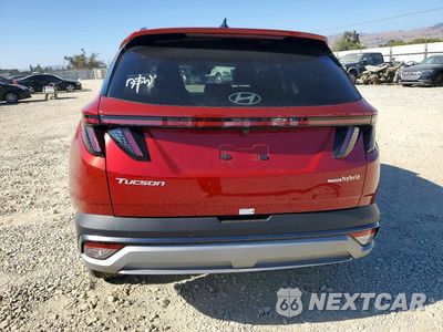 Zdjęcie 6 z 13 samochodu: 2026 HYUNDAI TUCSON HYBRID LIMITED VIN:KM8JEDD16TU414697 - miniatura