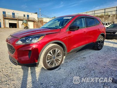 2022 FORD ESCAPE SE 1FMCU9G66NUA03545 - główne zdjęcie licytacji z USA - miniatura