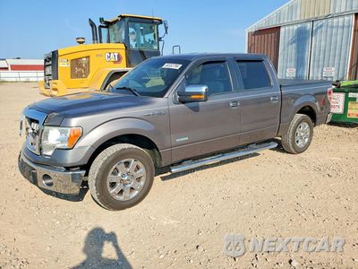 2014 FORD F150 SUPERCREW 1FTFW1CT3EFB48913 - główne zdjęcie licytacji z USA - miniatura