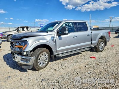 2024 FORD F150 XLT 1FTFW3L8XRKF64056 - główne zdjęcie licytacji z USA - miniatura