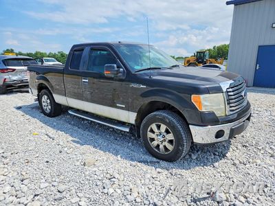 Czwarte zdjęcie samochodu z boku: 2012 FORD F150 SUPER CAB VIN:1FTFX1ET3CFA54747 - miniatura
