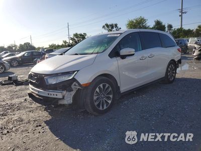 2024 HONDA ODYSSEY EXL 5FNRL6H65RB059828 - główne zdjęcie licytacji z USA - miniatura