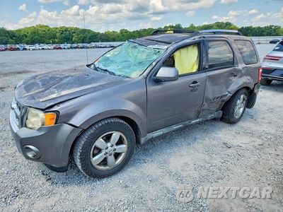 2009 FORD ESCAPE LIMITED 1FMCU94G69KC84549 - główne zdjęcie licytacji z USA - miniatura