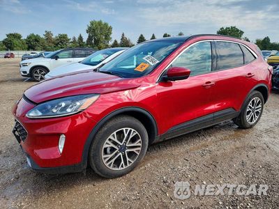 2020 FORD ESCAPE SEL 1FMCU9H66LUC58045 - główne zdjęcie licytacji z USA - miniatura