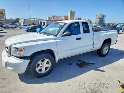 2011 DODGE DAKOTA SLT 1D7RE3BK7BS701270 - główne zdjęcie licytacji z USA - miniatura