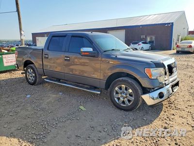 Czwarte zdjęcie samochodu z boku: 2014 FORD F150 SUPERCREW VIN:1FTFW1CT3EFB48913 - miniatura