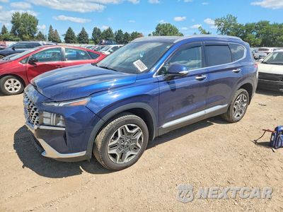 2023 HYUNDAI SANTA FE SEL PREMIUM 5NMS3DA1XPH005635 - główne zdjęcie licytacji z USA - miniatura