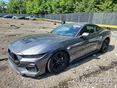 2025 FORD MUSTANG GT 1FA6P8CF4S5412969 - główne zdjęcie licytacji z USA - miniatura