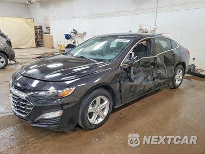 2023 CHEVROLET MALIBU LS 1G1ZB5ST4PF239153 - główne zdjęcie licytacji z USA - miniatura