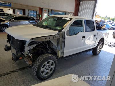 2019 FORD F150 SUPERCREW 1FTEW1EP5KFC94611 - główne zdjęcie licytacji z USA - miniatura