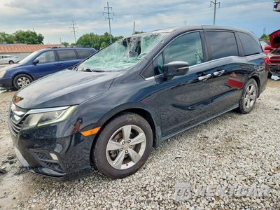 2019 HONDA ODYSSEY EXL 5FNRL6H75KB014502 - główne zdjęcie licytacji z USA - miniatura