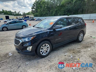 2019 CHEVROLET EQUINOX LS 3GNAXHEV2KL381821 - główne zdjęcie licytacji z USA - miniatura