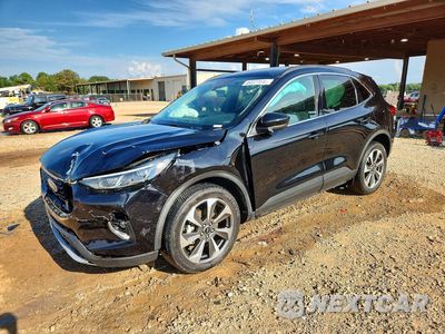 2023 FORD ESCAPE PLATINUM 1FMCU9JA5PUB37558 - główne zdjęcie licytacji z USA - miniatura