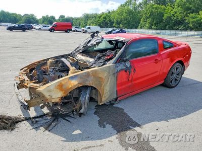 2013 FORD MUSTANG 1ZVBP8AM4D5267121 - główne zdjęcie licytacji z USA - miniatura