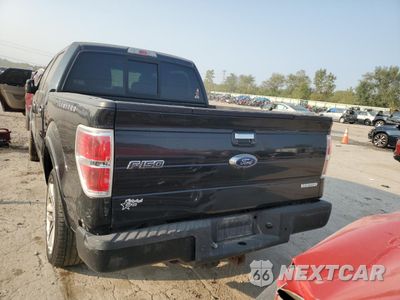 Zdjęcie 6 z 14 samochodu: 2013 FORD F150 SUPERCREW VIN:1FTFW1ET7DFC89611 - miniatura