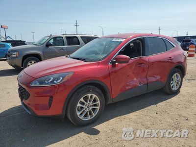 2020 FORD ESCAPE SE 1FMCU9G68LUC53561 - główne zdjęcie licytacji z USA - miniatura