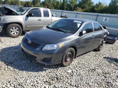 2010 TOYOTA COROLLA BASE 1NXBU4EE6AZ192300 - główne zdjęcie licytacji z USA - miniatura