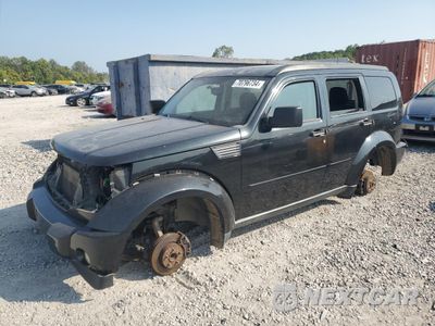 2010 DODGE NITRO SXT 1D4PT5GX3AW106689 - główne zdjęcie licytacji z USA - miniatura
