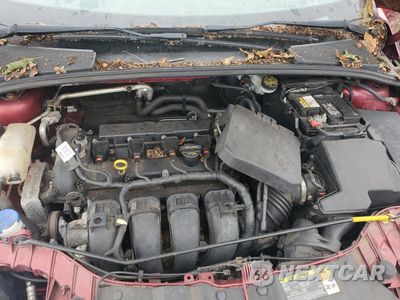Zdjęcie 11 z 12 samochodu: 2013 FORD FOCUS SE VIN:1FADP3K28DL111127 - miniatura