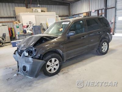 2007 FORD ESCAPE XLT 1FMYU03177KC04557 - główne zdjęcie licytacji z USA - miniatura