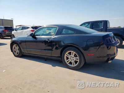 Drugie zdjęcie samochodu z przodu: 2014 FORD MUSTANG VIN:1ZVBP8AM1E5201935 - miniatura