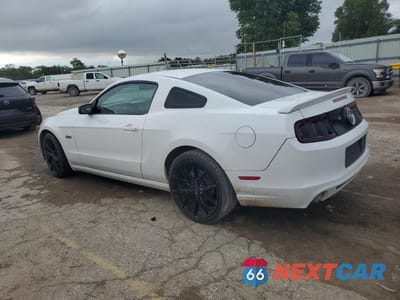 Drugie zdjęcie samochodu z przodu: 2014 FORD MUSTANG VIN:1ZVBP8AM7E5332920 - miniatura