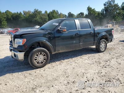 2014 FORD F150 SUPERCREW 1FTFW1CF6EKF02411 - główne zdjęcie licytacji z USA - miniatura