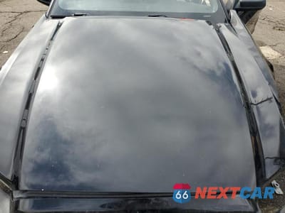 Zdjęcie 11 z 12 samochodu: 2013 FORD MUSTANG VIN:1ZVBP8EM8D5234133 - miniatura