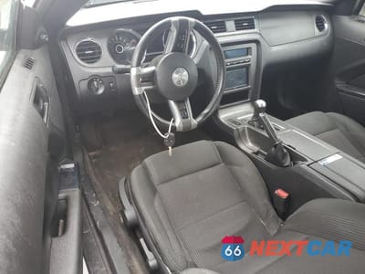 Zdjęcie 8 z 12 samochodu: 2014 FORD MUSTANG VIN:1ZVBP8AM7E5332920 - miniatura