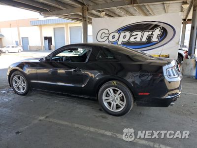 Drugie zdjęcie samochodu z przodu: 2014 FORD MUSTANG VIN:1ZVBP8AM3E5333806 - miniatura