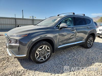 2023 HYUNDAI SANTA FE SEL PREMIUM 5NMS3DA1XPH000404 - główne zdjęcie licytacji z USA - miniatura