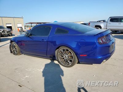 Drugie zdjęcie samochodu z przodu: 2013 FORD MUSTANG VIN:1ZVBP8AM0D5274762 - miniatura