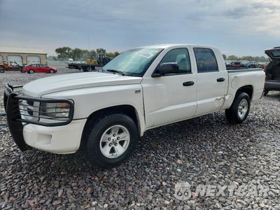 2009 DODGE DAKOTA SXT 1D3HE38P09S785247 - główne zdjęcie licytacji z USA - miniatura