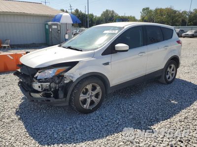 2015 FORD ESCAPE SE 1FMCU9GX3FUA56083 - główne zdjęcie licytacji z USA - miniatura