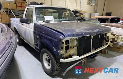 1995 FORD F150 1FTEF15Y5SNA78093 - główne zdjęcie licytacji z USA - miniatura