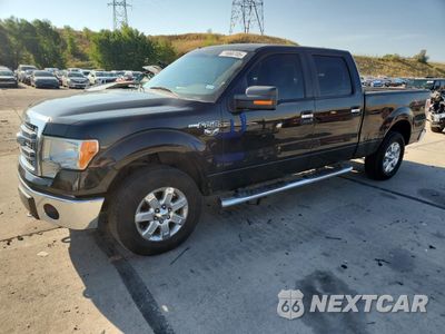 2014 FORD F150 SUPERCREW 1FTFW1EF3EKF99886 - główne zdjęcie licytacji z USA - miniatura