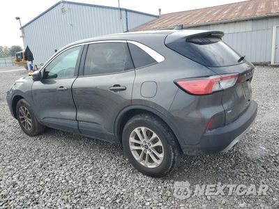 Drugie zdjęcie samochodu z przodu: 2020 FORD ESCAPE SE VIN:1FMCU9G64LUB86408 - miniatura
