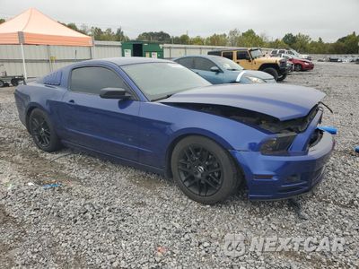 Czwarte zdjęcie samochodu z boku: 2014 FORD MUSTANG VIN:1ZVBP8AMXE5325007 - miniatura